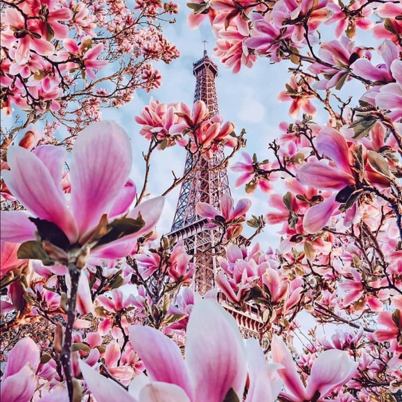 Meet your Posher, Paris - Picture 1 of 1